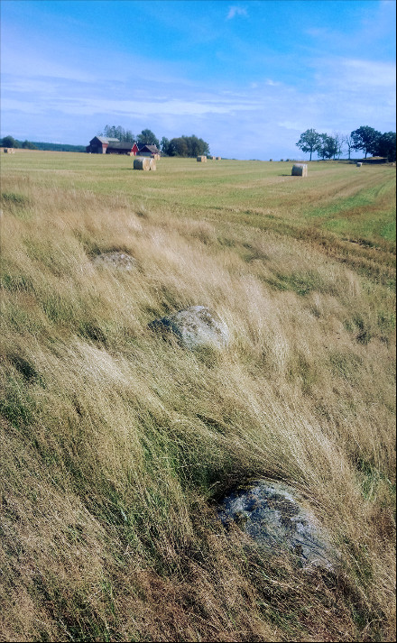 Jätta Thing with 27 boulders in Veinge, Halland